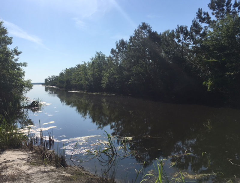 RV Park on The Pascagoula River MS